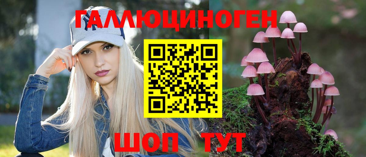 Галлюциногенные грибы Psilocybine cubensis Семилуки